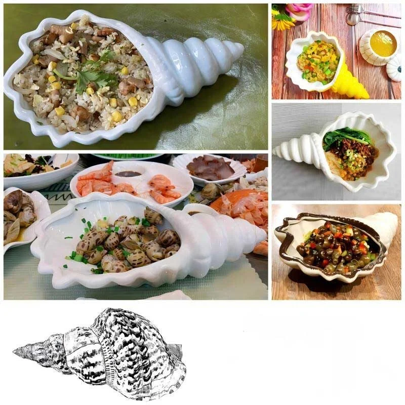 Seashell Shaped Ceramic Tableware (3)